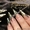 Обучение наращиванию ногтей и ресниц (продажа материалов по суппер ценам) - Изображение #5, Объявление #324235