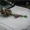 Авто Тойта Камри - Изображение #1, Объявление #517285