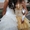 красивое золотистое с хвостом выпускное платье - Изображение #3, Объявление #531916