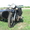 Мотоцикл Днепр c мотоколяской - Изображение #1, Объявление #643798
