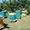 Продам  ДЕШЕВО пчелосемьи на высадку #885493
