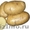 продам семенной картофель из Белоруссии в Воронеже - Изображение #2, Объявление #1315239