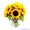Круглосуточная доставка цветов - букеты из роз, лилий, тюльпанов и других цветов - Изображение #4, Объявление #1363264