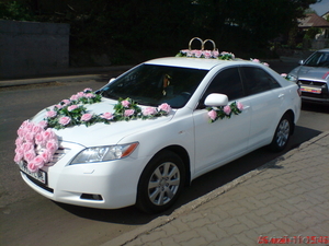 Машина на свадьбу - Белая TOYOTA CAMRY  - Изображение #10, Объявление #256803