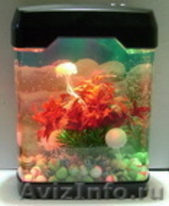 Декоративный аквариум-cветильник - Изображение #1, Объявление #271513