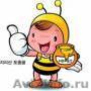 Продам натуральный пчелиный мед 2011 года - Изображение #1, Объявление #335330