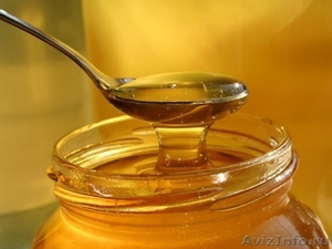 НАТУРАЛНЫЙ Мёд подсолнух - Изображение #1, Объявление #355403