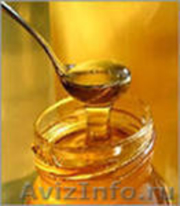 Продам мёд с личной пасеки 5000кг - Изображение #1, Объявление #437800