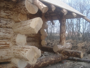 срубы домов и бань ручной рубки из Вологды - Изображение #3, Объявление #518436