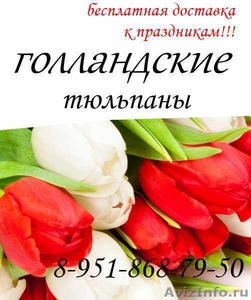 тюльпаны к 8 марта по оптовым ценам - Изображение #1, Объявление #543064