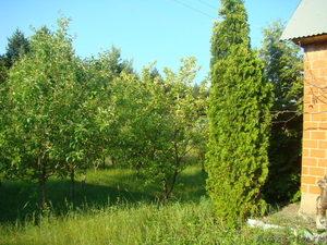 Продам дачу и земельный участок в п. Медовка - Изображение #3, Объявление #629406