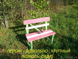 Продается ДАЧА с САДОМ в 5 км от Воронежа - Изображение #4, Объявление #1555851